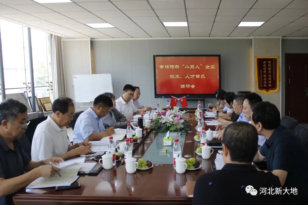 專精特新&ldquo;小巨人&rdquo;企業(yè)技術(shù)、人才需求調(diào)研組到河北新大地調(diào)研